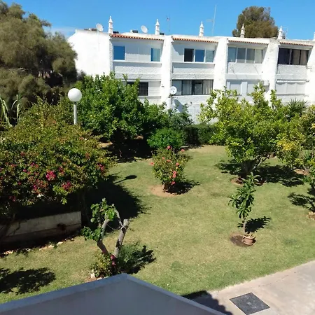 Apartment And Island *
